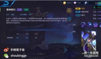 壮哥解说王者爆料视频下载,揭秘最新游戏动态与精彩内容